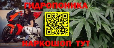прущие крисы Волжский