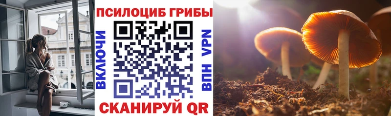 Псилоцибиновые грибы мицелий  Новошахтинск 