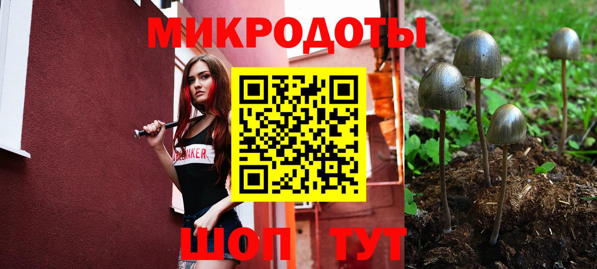 Псилоцибиновые грибы прущие грибы Новошахтинск
