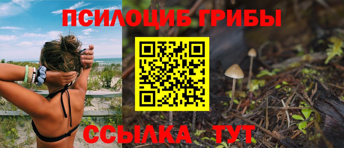 Галлюциногенные грибы Psilocybine cubensis  Вход с VPN  Новошахтинск  Галлюциногенные грибы прущие грибы 