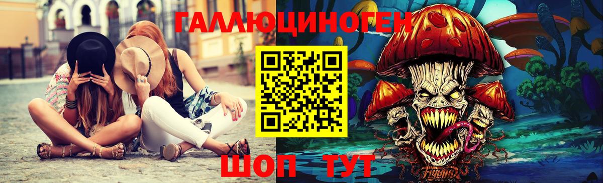 Галлюциногенные грибы GOLDEN TEACHER Новошахтинск