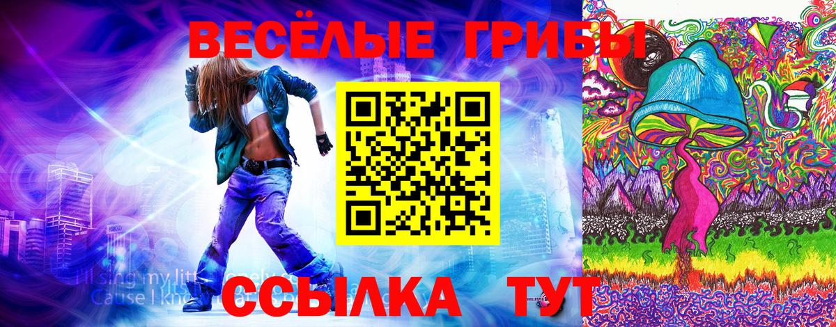 Псилоцибиновые грибы мицелий  Новошахтинск  Псилоцибиновые грибы MAGIC MUSHROOMS 